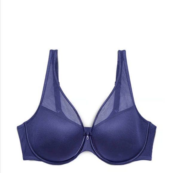 Victoria's Secret Blue Sheer Mesh Push-Up Bra 36DDD - Picture 5 of 5